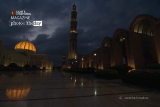 Marvelous by Sanak Roy Choudhury