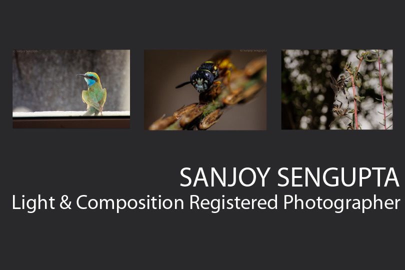 Sanjoy Sengupta - Sanjoy Sengupta, Photography Awards, Photojournalism, Art Photography, Online Photography Courses