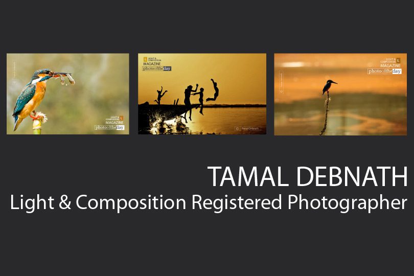 Tamal Debnath - Photography, Photo of the Day, Amateur Photographer, Award-Winning Photography, Light & Composition