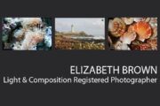 Elizabeth Brown - Fine Art Photography, Nature Photography, Wildlife Photography, Elizabeth Brown, Photography Awards