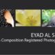 Eyad Al Shami - Photojournalist, Fine Art Photography, Photographer, Photography Awards, Light & Composition