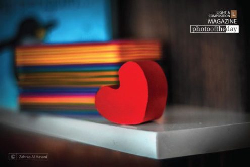 When There Is Love - Life Begins, by Zahraa Al Hassani - Still Life Photography, Photography Awards, Art Photography, Photo of the Day, Online Photography Courses