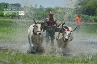Run for Dominance by Sanak Roy Choudhury