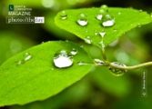 Close-up Photography, Nature Photography, Raindrops, Photo of the Day, Photography Awards – Green and Raindrops, by Tisha Clinkenbeard Green and Raindrops, by Tisha Clinkenbeard - Close-up Photography, Nature Photography, Raindrops, Photo of the Day, Photography Awards