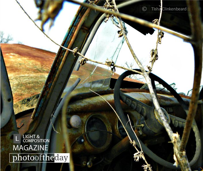 Thru The Door Of A ’54 , by Tisha Clinkenbeard Thru The Door Of A ’54 , by Tisha Clinkenbeard - Still Life Photography, Photography Award, Abandoned Vehicle Photography, Photo of the Day, Art Photography