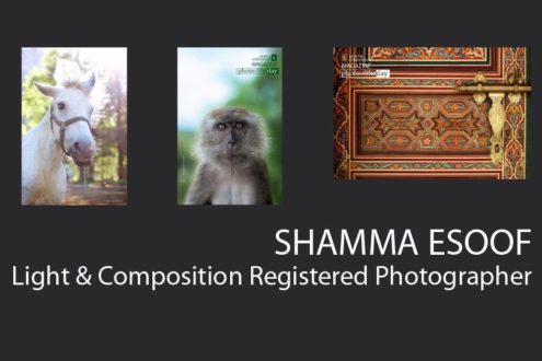 Shamma Esoof - Photographer, Portrait Photography, Animal Photography, Photography Awards, Light & Composition