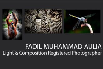 Fadil Muhammad Aulia