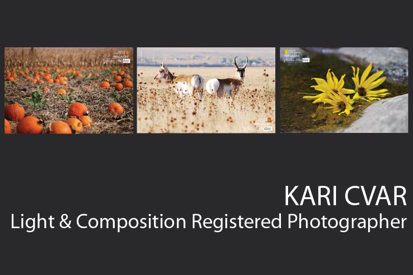 Kari Cvar - Amateur Photography, Nature Photography, Portrait Photography, Photography Awards, Light & Composition