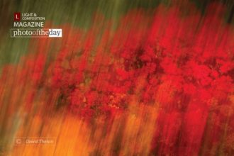 Canvas of Colors by Dawid Theron