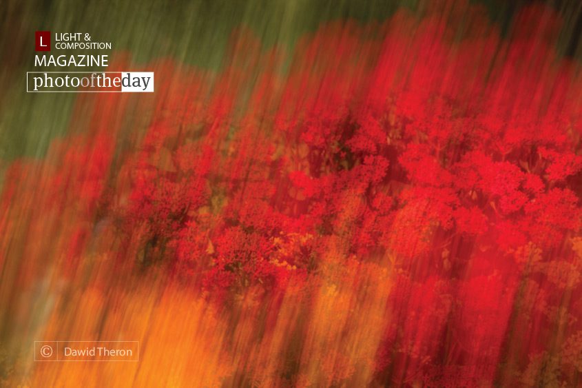 Canvas of Colors, by Dawid Theron - Art Photography, Color Photography, Fine Art Photography, Photo of the Day, Photography Awards