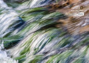 Water Art by Dawid Theron