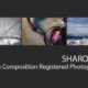 Sharon Lai - Photography, Photographer,  Aspiring Photographer,  Photography Portfolio, Light & Composition
