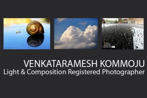 Venkataramesh Kommoju - Wildlife Photography, Macro Photography, Nature Photography, Photography Awards, Light & Composition