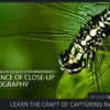 The Essence of Close-up Photography - Close-up Photography, Nature Photography, Macro Photography, Photography Techniques, Photography Book