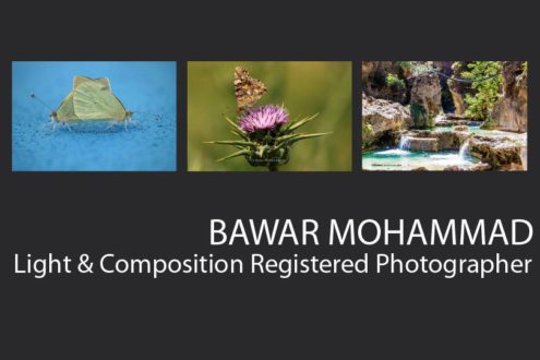 Bawar Mohammad - Photojournalist, Art Photography, Photographer, Kurdistan Photography,  Bawar Mohammad
