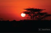 Sunset Photography, Award Winning Photography, Fine Art Photography, Photography Awards, Photo of the Day – Kruger National Park Sunset, by Dawid Theron Kruger National Park Sunset, by Dawid Theron - Sunset Photography, Award Winning Photography, Fine Art Photography, Photography Awards, Photo of the Day