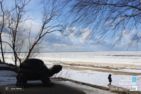 Bad Weather for Turtles, by Jens Hieke - Nature Photography, Photo of the Day, Photography Awards, Jens Hieke, Wildlife Photography