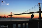 Travel Photography, Photo of the Day, Award Winning Photography, Sunset Photography, Bay Bridge Photography – Bay Bridge at Sunset, by Achintya Guchhait Bay Bridge at Sunset, by Achintya Guchhait - Travel Photography, Photo of the Day, Award Winning Photography, Sunset Photography, Bay Bridge Photography