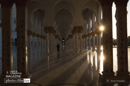 Double Starburst, by Bashar Alaeddin - Artistic Photography, Photo of the Day, Photography Awards, Photography Composition, Double Starburst