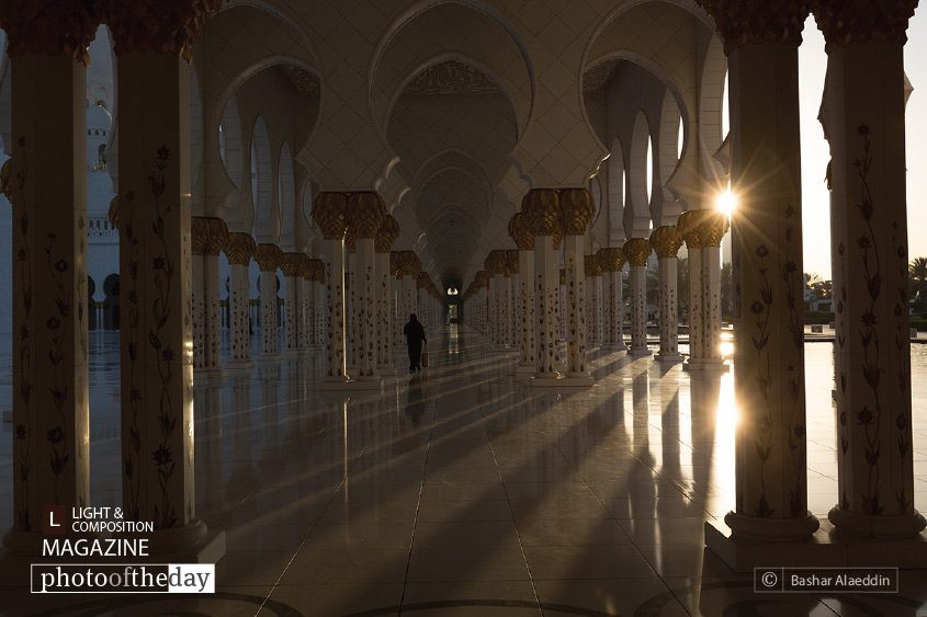 Double Starburst, by Bashar Alaeddin Double Starburst, by Bashar Alaeddin - Artistic Photography, Photo of the Day, Photography Awards, Photography Composition, Double Starburst