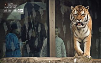 Eager for Action by Ajit Chouhan