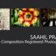 Saahil Prasad - Landscape Photography, Portrait Photography, Photography Portfolio, Saahil Prasad, Light & Composition
