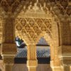 The Golden Arches, by Ahmed Al.Badawy - Architectural Photography, Islamic Architecture, Alhambra Palace, Photo of the Day, Ahmed Al.Badawy