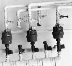 Still Three by Morris Hilarian