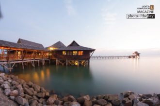 Fusion by Partha Roy