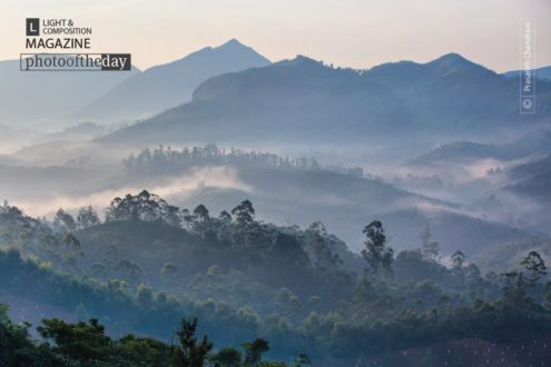 Misty Morning at Munnar, by Prasanth Chandran - Artistic Photography, Award Winning Photography, Photo of the Day, Misty Landscape Photography, Photography Awards