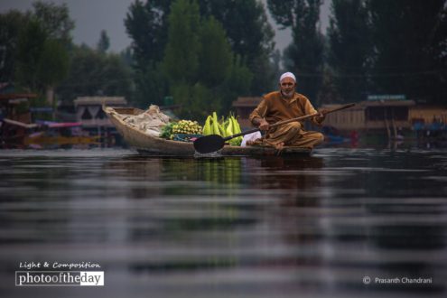 Shopping Time, by Prasanth Chandran - Travel Photography, Photojournalism, Photography Awards, Photo of the Day, Light & Composition University