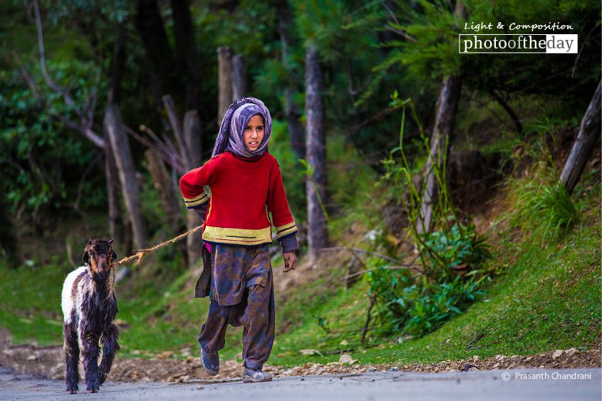 She Got a Friend, by Prasanth Chandran She Got a Friend, by Prasanth Chandran - Travel Photography, Photo of the Day, Award Winning Photography, Photography Awards, Prasanth Chandran