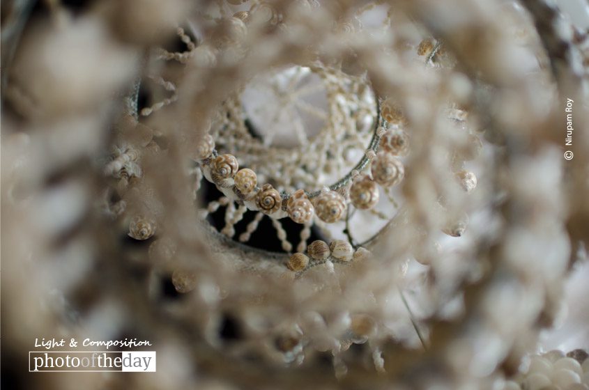 Sea Shell Garland, by Nirupam Roy Sea Shell Garland, by Nirupam Roy - Close-up Photography, Photography Award, Photo of the Day, Sea Shell Garland, Art Photography