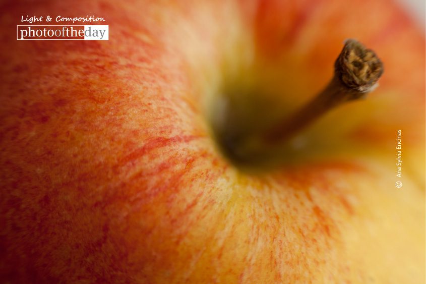 A Healthy Choice, by Ana Sylvia Encinas A Healthy Choice, by Ana Sylvia Encinas - Close-Up Photography, Photography Awards, Photo of the Day, Art Photography, Nature Photography