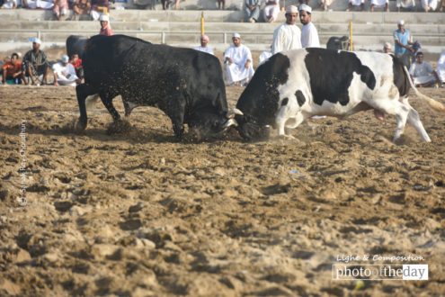 The Avalanche, by Sanak Roy Choudhury - Motion Photography, Photography Awards, Photojournalism, Art Photography, Online Photography Courses