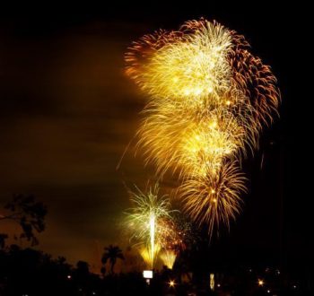 Viva Mexico by Ana Sylvia Encinas