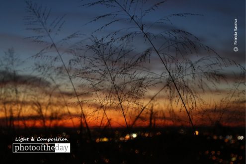 Charming Sunset, by Patricia Saraiva - Sunset Photography, Photography Awards, Photo of the Day, Art Photography, Landscape Photography