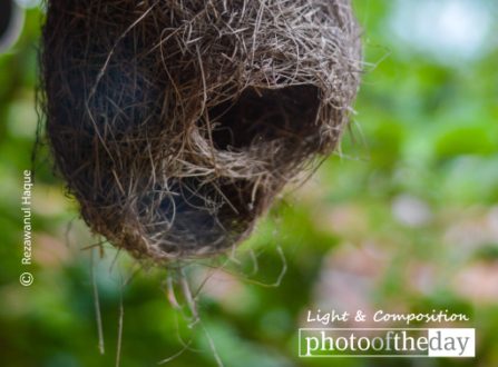 Home, by Rezawanul Haque - Still Life Photography, Photography Awards, Photo of the Day, Art Photography, Online Photography Courses