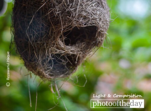 Home, by Rezawanul Haque - Still Life Photography, Photography Awards, Photo of the Day, Art Photography, Online Photography Courses