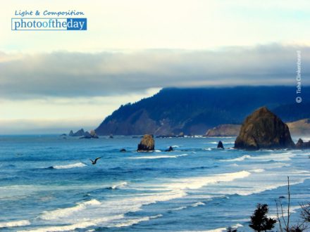 Haystack Rock, by Tisha Clinkenbeard - Landscape Photography, Photo of the Day, Haystack Rock, Photography Awards, Art Photography