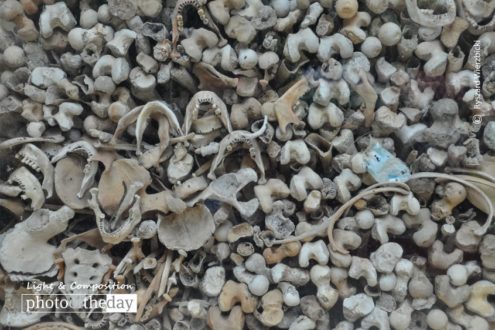 Bones and Jaws, by Ryszard Wierzbicki - Documentary Photography, Photojournalism, Cambodia, Killing Fields, Ryszard Wierzbicki