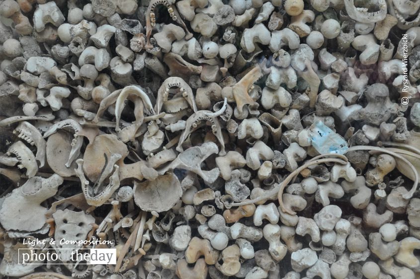 Bones and Jaws, by Ryszard Wierzbicki Bones and Jaws, by Ryszard Wierzbicki - Documentary Photography, Photojournalism, Cambodia, Killing Fields, Ryszard Wierzbicki