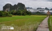Travel Photography, Award Winning Photography, Landscape Photography, Photo of the Day, Rice Field Photography – A Path across the Rice Field, by Ryszard Wierzbicki A Path across the Rice Field, by Ryszard Wierzbicki - Travel Photography, Award Winning Photography, Landscape Photography, Photo of the Day, Rice Field Photography