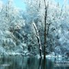Snowy Pond, by Tisha Clinkenbeard - Nature Photography, Photography Awards, Photo of the Day, Winter Photography, Photography Education