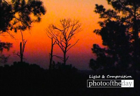Birthday Sunrise in Texas, by Tisha Clinkenbeard - Photography Awards, Sunrise Photography, Photo of the Day, Art Photography, Landscape Photography