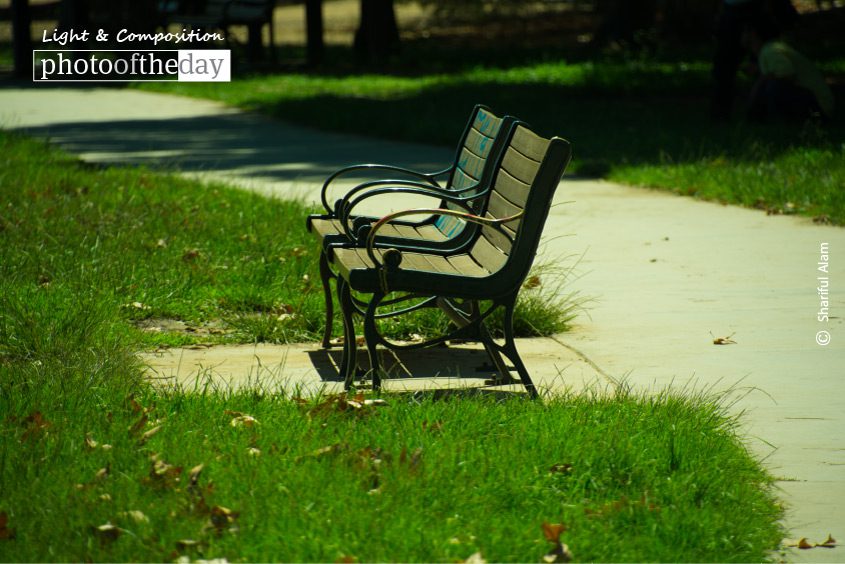 Waiting, by Shariful Alam Waiting, by Shariful Alam - Still Life Photography, Photo of the Day, Photography Awards, Art Photography, Online Photography Courses
