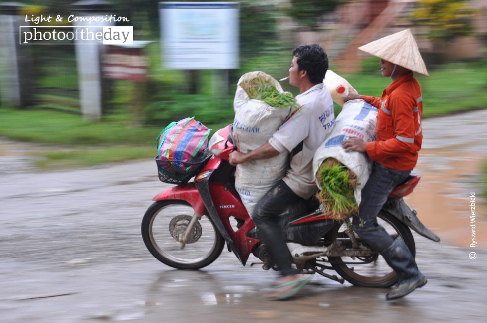 Seedlings Delivery, by Ryszard Wierzbicki Seedlings Delivery, by Ryszard Wierzbicki - Photojournalism, Motion Photography, Award Winning Photography, Photo of the Day, Ryszard Wierzbicki
