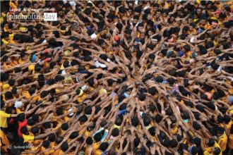 Hands of Unity by Sudeep Mehta