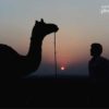 Photojournalism, Travel Photography, Photography Awards, Sudeep Mehta, Nomadic Silhouette – The Nomadic Silhouette, by Sudeep Mehta The Nomadic Silhouette, by Sudeep Mehta - Photojournalism, Travel Photography, Photography Awards, Sudeep Mehta, Nomadic Silhouette