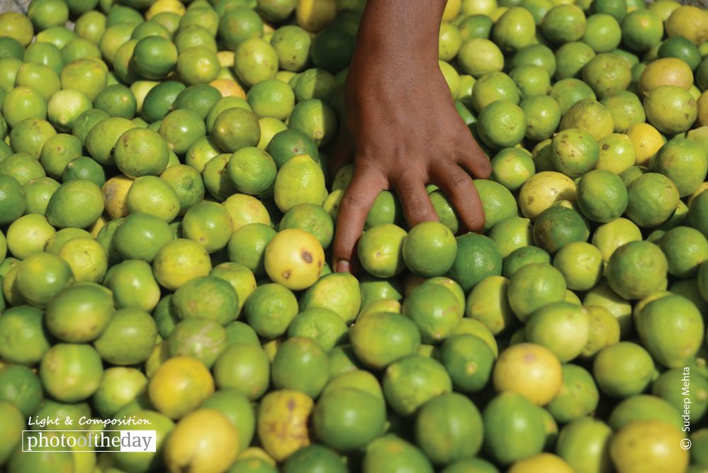 Lemons, by Sudeep Mehta Lemons, by Sudeep Mehta - Food Photography, Photojournalism, Abstract Photography, Award Winning Photography, Light & Composition University